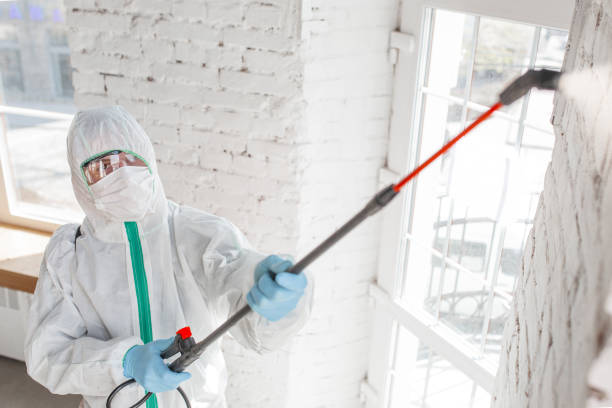 Best Mold-Related Health Consultation  in Fort Valley, GA
