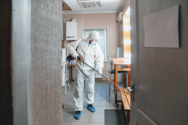 Best Black Mold Removal  in Fort Valley, GA