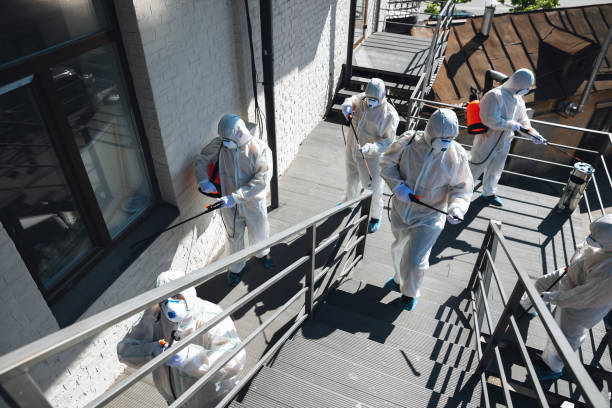 Best Water Damage & Mold Remediation  in Fort Valley, GA