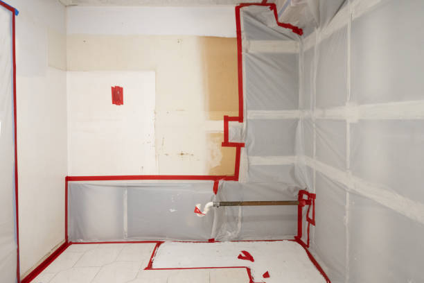 Best Mold Odor Removal Services  in Fort Valley, GA
