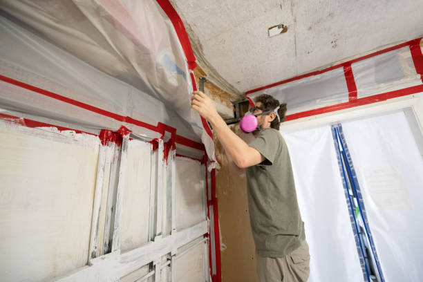 Best Forensic Mold Investigation  in Fort Valley, GA