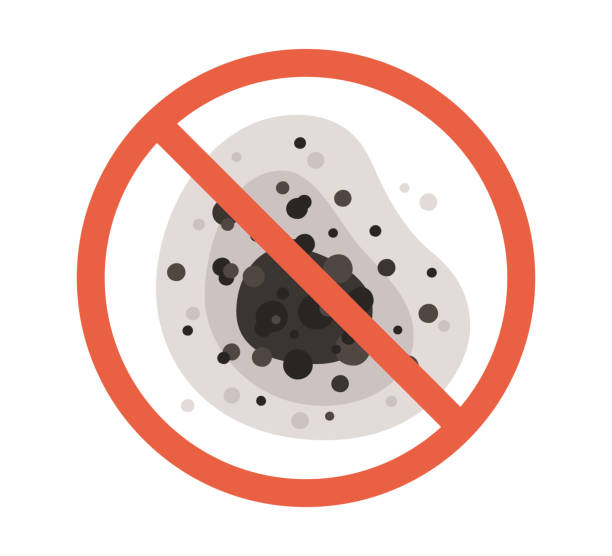Best Mold Damage Restoration  in Fort Valley, GA