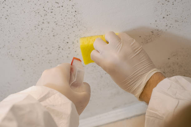 Best Commercial Mold Inspection  in Fort Valley, GA