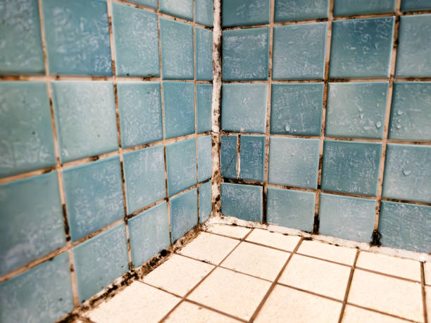 Best Residential Mold Inspection & Testing  in Fort Valley, GA