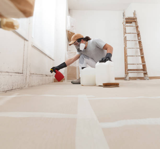 Best Basement Mold Removal  in Fort Valley, GA