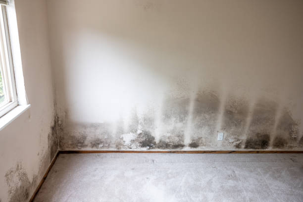 Best HVAC Mold Inspection and Cleaning  in Fort Valley, GA