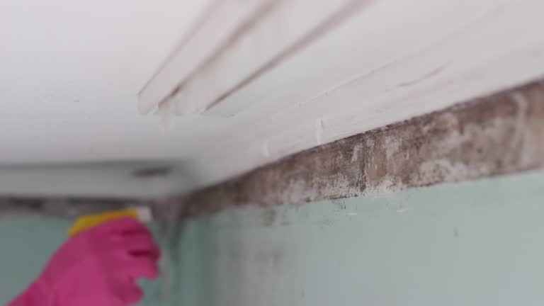 Best Air Quality Testing for Mold Spores  in Fort Valley, GA