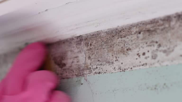 Best Airborne Mold Testing  in Fort Valley, GA